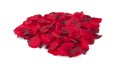 Pile Of Red Silk Rose Petals