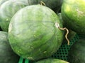 pile of red watermelons in a basket in the supermarket Royalty Free Stock Photo