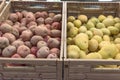 Pile of red and yellow potatoes variety in plastic crate at market stand in Houston, Texas, USA Royalty Free Stock Photo