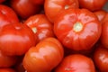 Fresh big tomatoes for sale at a street market