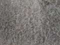 pile of rice before being processed into rice Royalty Free Stock Photo