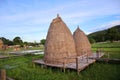 Pile of straw by product from rice field after collecting season.