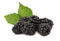 Pile of ripe blackberry with green leaves (isolated)