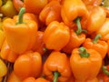 Pile of Ripe Bright Orange Color Bell peppers with Green Stems