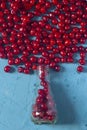 Pile of ripe cherries and glass bottle on blue background. Fresh organic berries Royalty Free Stock Photo