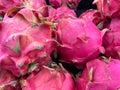 Pile of ripe dragon fruits. Arranged neatly on the supermarket display rack Royalty Free Stock Photo