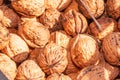 pile of, ripe, freshly collected, walnuts