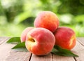 Pile of ripe peaches on nature background