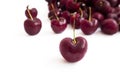 Pile of ripe red cherries Royalty Free Stock Photo