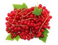 Pile of ripe redcurrant berries on green leaves (isolated)