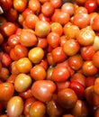 Tomatoes - Excellent Source of Vitamin C and Biotin