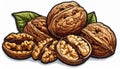 Pile of Ripe Walnuts with Halves and Green Leaves on White Background Royalty Free Stock Photo