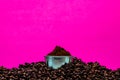 Pile of roasted beans and ground coffee in portafilter against pink background Royalty Free Stock Photo