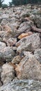 a pile of rocks deliberately made for walking Royalty Free Stock Photo