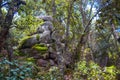 Pile of rocks in El Penion camp forest in Sierra de Lobos in Leon Guanajuato Royalty Free Stock Photo