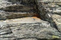 Pile of rocks stone in Bucegi mountains,  Bucegi National Park,  Romania. Zen concept Royalty Free Stock Photo