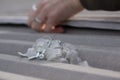 Pile of roofing screws with clear caps for rapezoidal metal roof mounting and a hand of a woman