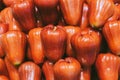 Pile of rose apples background, close up image