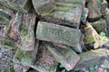 Pile of Rose brand name bricks covered in algae and pine needles