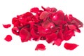 Pile of rose petals Royalty Free Stock Photo