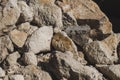 Pile of rubble stone for construction of residential buildings Royalty Free Stock Photo