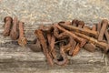 A pile of rusty railroad spikes