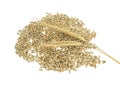 Pile of rye grains and two ears on white background Royalty Free Stock Photo