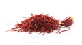 Pile of saffron threads with saffron flower bud on white background, sharp focus Royalty Free Stock Photo