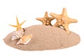 Pile of sand with seashells and starfish Royalty Free Stock Photo