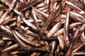 Pile of sardinas on foodmarket