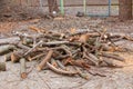 A pile of sawed firewood for heating in winter. Stockpile of firewood during the energy crisis