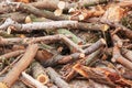 A pile of sawed firewood for heating in winter. Stockpile of firewood during the energy crisis