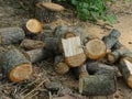 Pile of round firewood