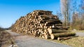 Pile of sawed trees ready for transport