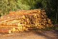 A pile of sawn logs on a field
