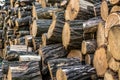 A pile of sawn tree trunks, a lot of cutted logs. Royalty Free Stock Photo