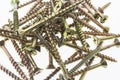 Pile of Screws Royalty Free Stock Photo