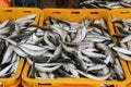 Pile of sea fish in boxes at a fish market in Croatia Royalty Free Stock Photo