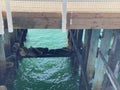 Santa Cruz Pier sea lions sleeping