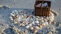 A pile of seashells arranged in a heart shape next to a picnic basket Royalty Free Stock Photo