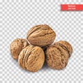 A pile of several walnuts on a transparent background. Object Decor for New Year or Christmas. Realistic Vector Illustration Royalty Free Stock Photo