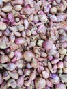 A pile of shallots ready to be sold in the market or supermarket, the harvest of the onion farmers