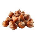 A Pile of Shelled Hazelnuts with Brown Shells Royalty Free Stock Photo