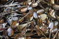 Pile of shiny metal spoons on sale. Pile of aged vintage silver cutlery. Many used spoons. Mixed Shiny metal spoons