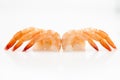 Pile of shrimps on white background with copy space