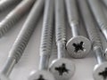Silver cross head screws on a white background