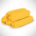 Pile of simple corncobs