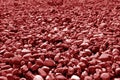 Pile of small gravel stones in red tone Royalty Free Stock Photo