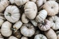 Pile of small white pumpkins at the farmers market. Royalty Free Stock Photo