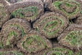Pile of sod rolls background Royalty Free Stock Photo
